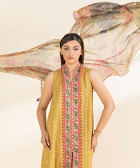 3 Piece - Embroidered Net Suit
