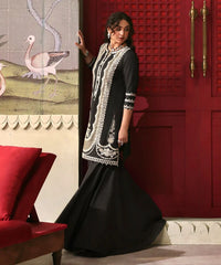 2 Piece - Embroidered Lawn Suit