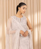 3 Piece - Embroidered Net Suit