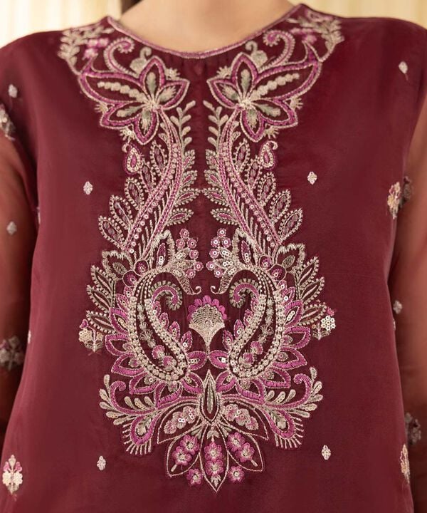 3 Piece - Embroidered Organza Suit