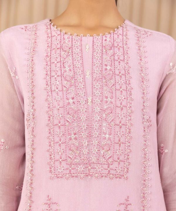 3 Piece - Embroidered Net Suit
